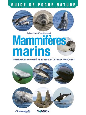 Mammifères marins. Observer et reconnaître 50 espèces des eaux françaises