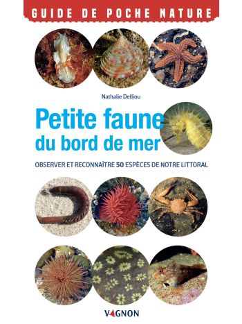 Petite faune du bord de mer - Observer et reconnaître 50 espèces de notre littoral