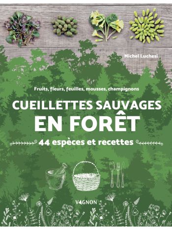 Cueillettes sauvages en forêt - 44 espèces et recettes