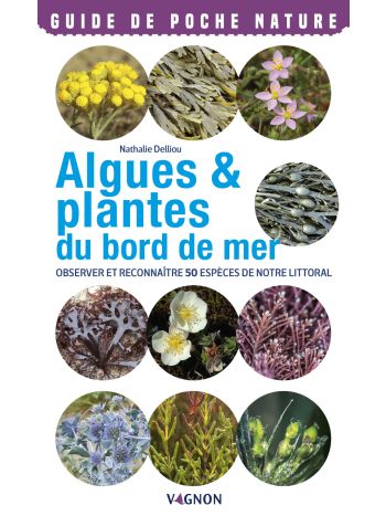 Algues & plantes du bord de mer. Observer et reconnaître 50 espèces de notre littoral